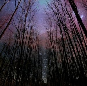 Meet your Posher, Melody